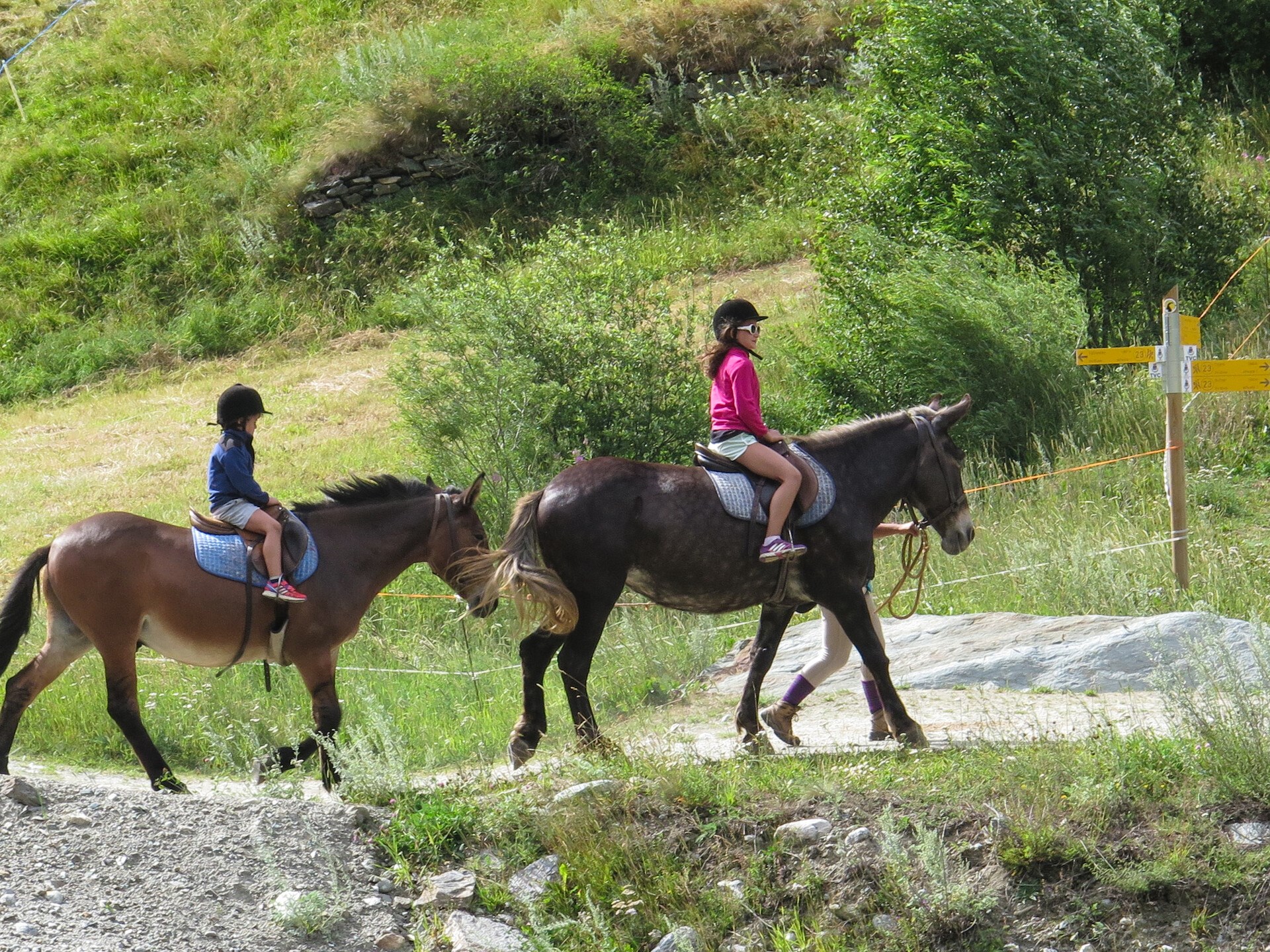 Equitazione bimbi fra