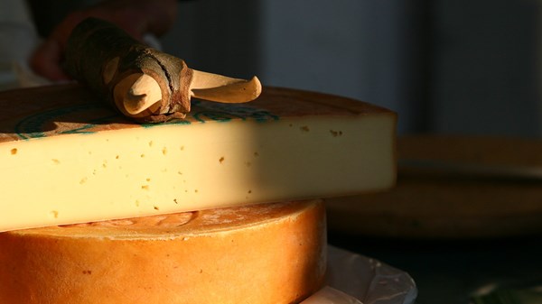 Das Fest des Fontina-Käse