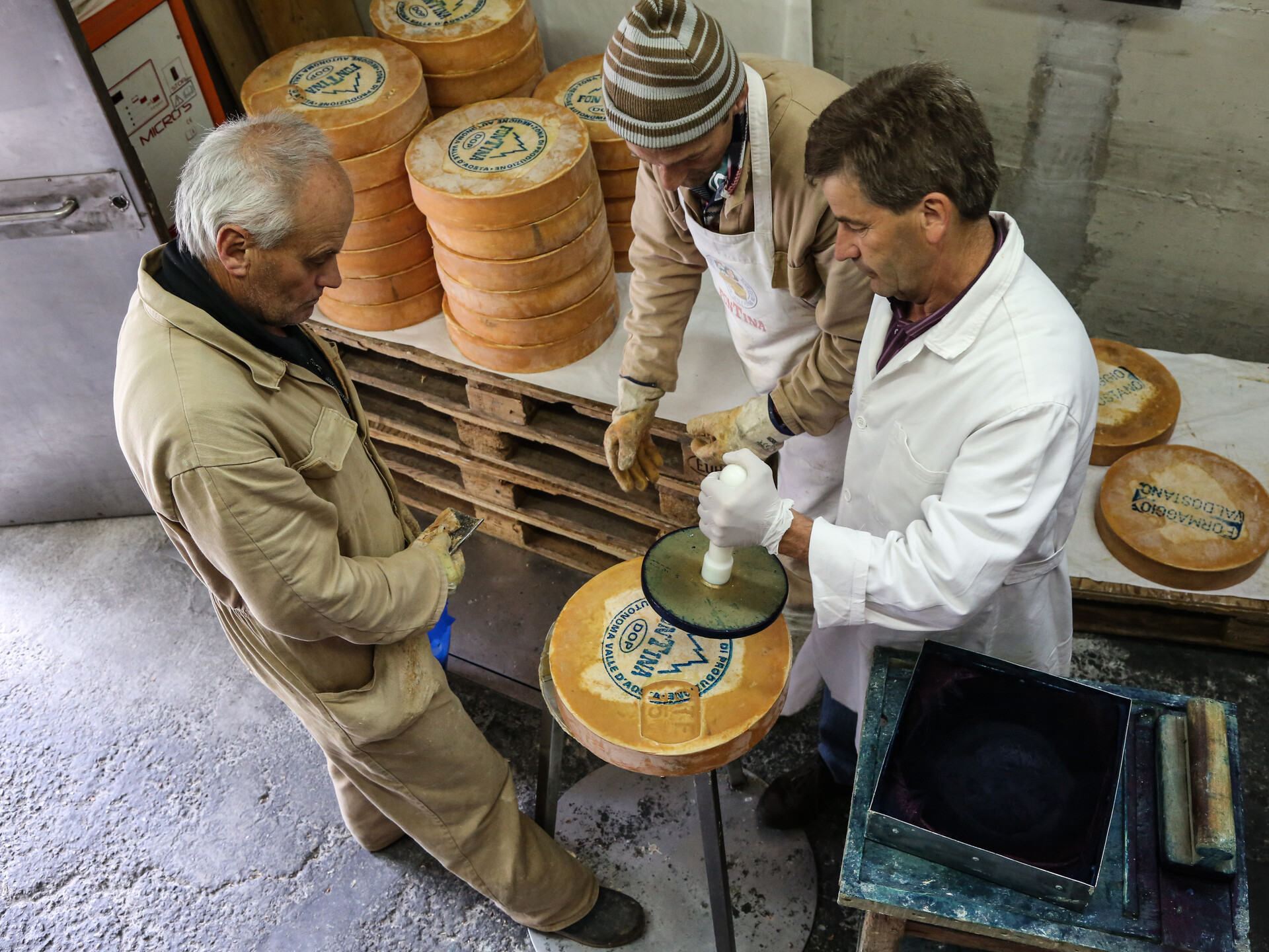 Marchiatura delle forme di formaggio